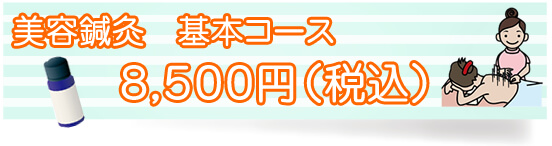 美容鍼灸　基本コース8500円（税別）